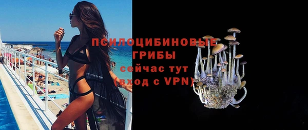 дживик Аркадак