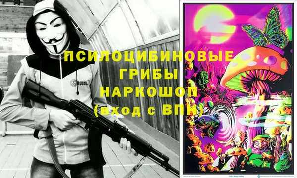 apvp Зерноград
