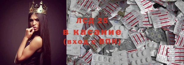 шишки Алексин
