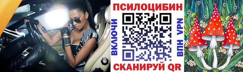 Галлюциногенные грибы Psilocybine cubensis  Купить  Яровое 